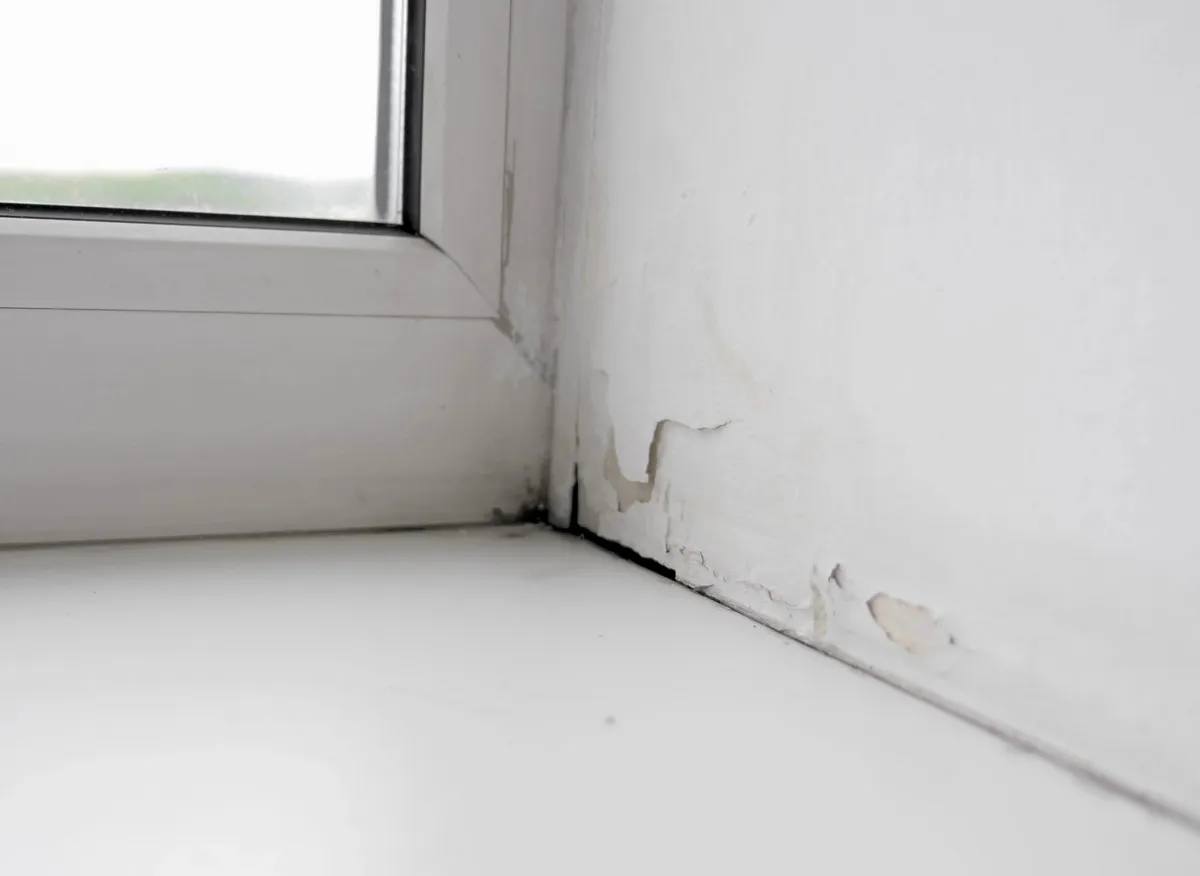 Soluzione naturale per l'umidità in casa